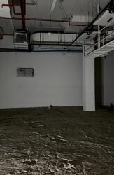 PS100 (D2), Retail #457290081
